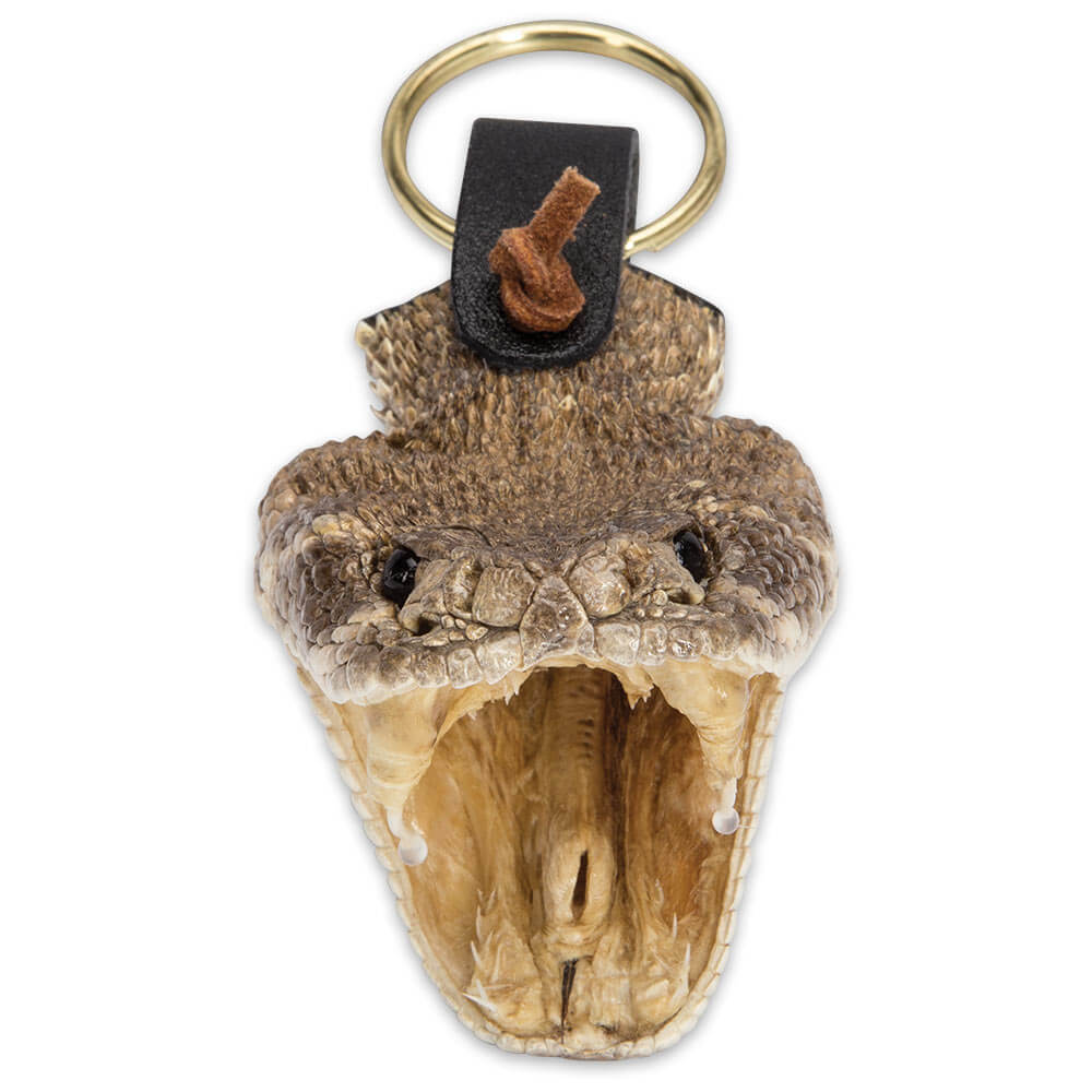 Premium Rattlesnake Head Keychain Real Taxidermy Viper Snake Head w